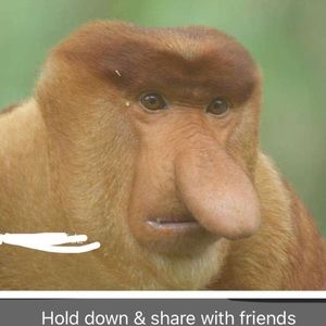 Meet your Posher, Riley